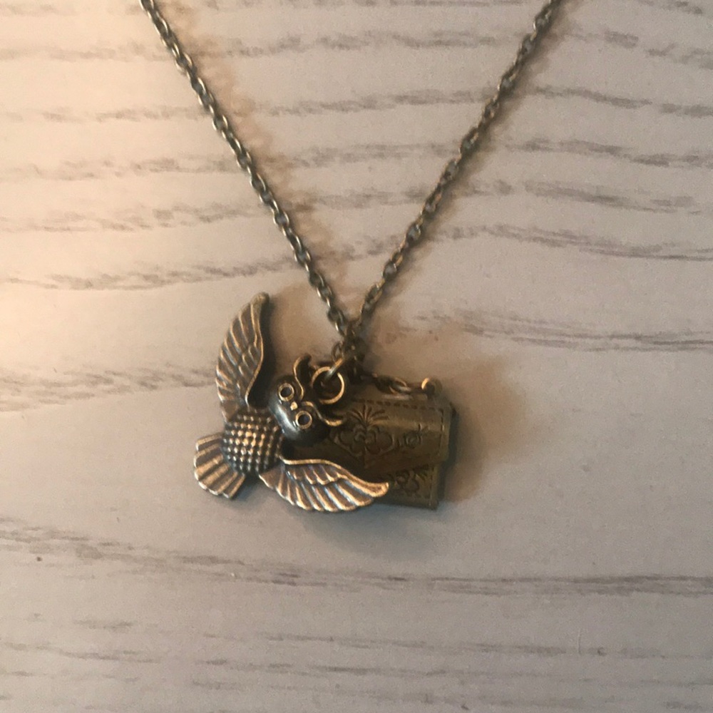 Harry Potter owl and letter necklace